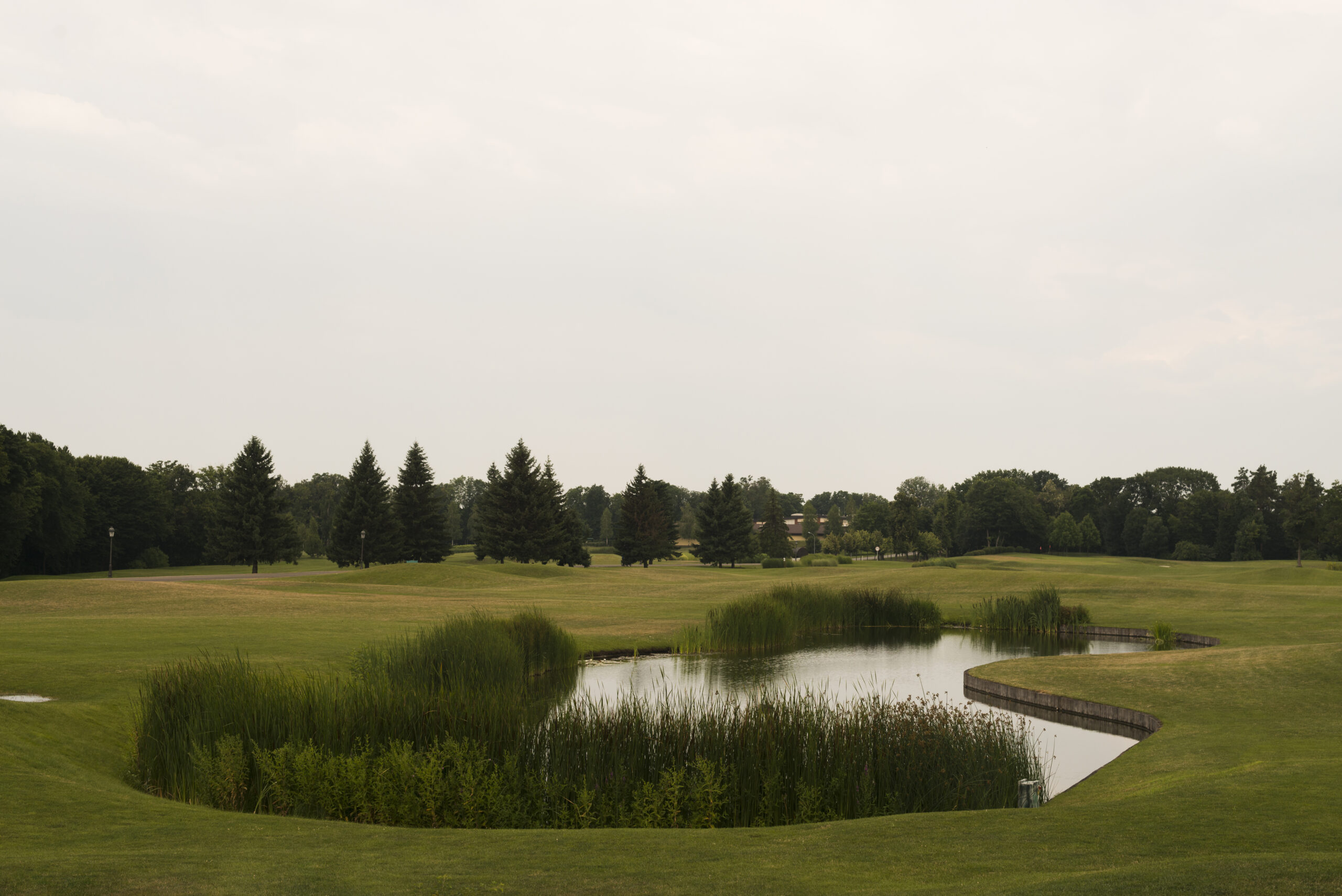 Green golf field in Wisconsin